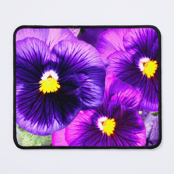 Item preview, Vivid Violet Pansy Trio designed and sold by BostonArcImage.