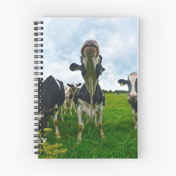 Item preview, Cows designed and sold by YussefRafik.