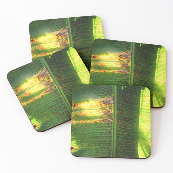 Item preview, BANANA LEAF - tropical natural texture designed and sold by OZKURO.