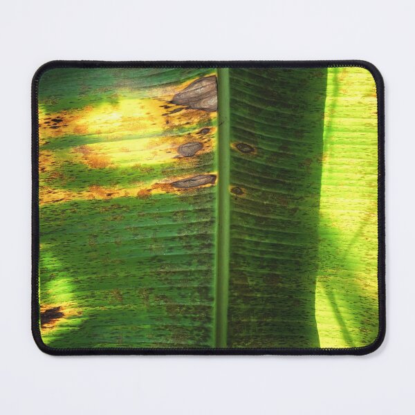 Item preview, BANANA LEAF - tropical natural texture designed and sold by OZKURO.