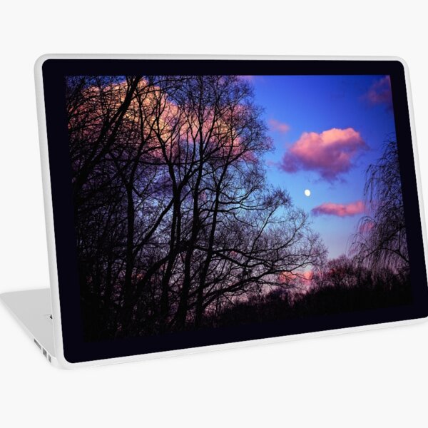 Full Moon Laptop Skin