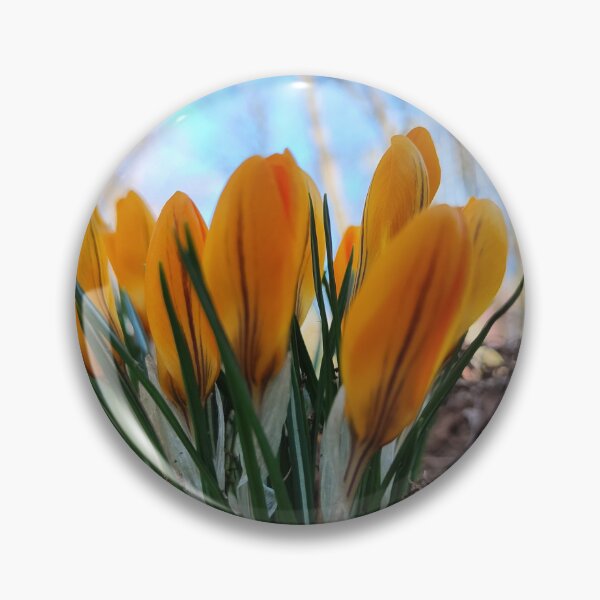Item preview, The yellow crocus and spring designed and sold by Raigitam.