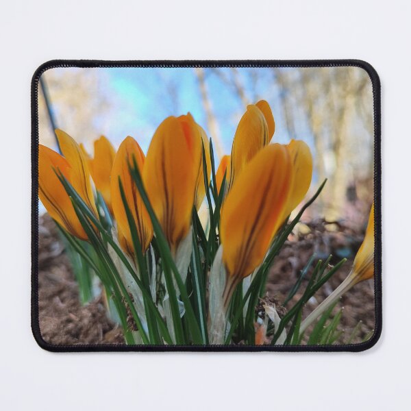 Item preview, The yellow crocus and spring designed and sold by Raigitam.