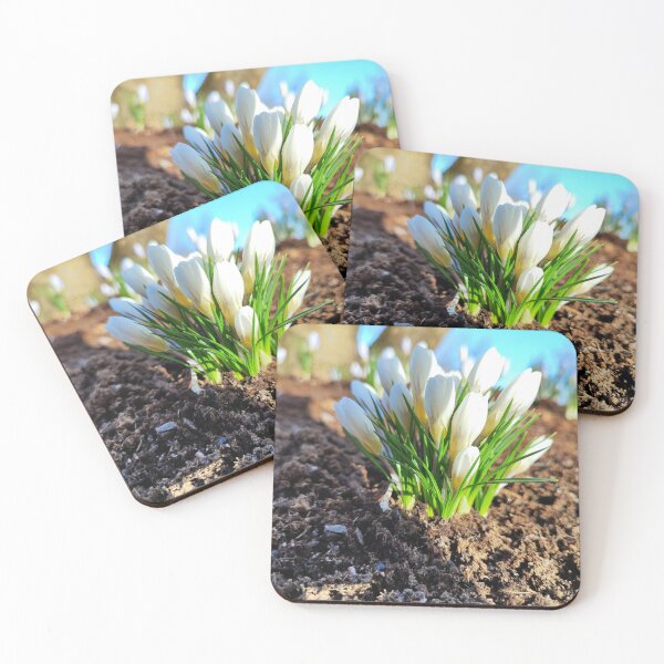 Item preview, The white crocus and spring sun designed and sold by Raigitam.