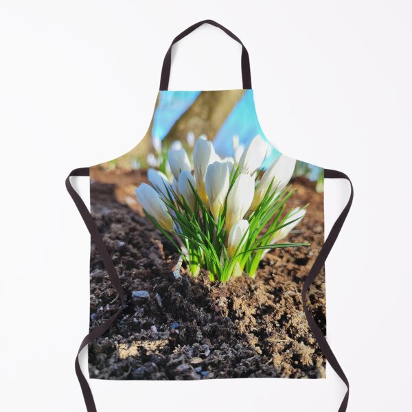 Item preview, The white crocus and spring sun designed and sold by Raigitam.