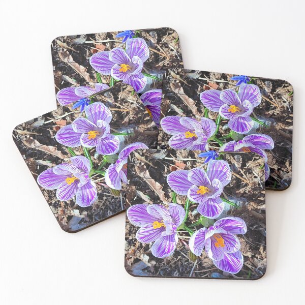 Item preview, The first spring flowers enjoy the sun designed and sold by Raigitam.
