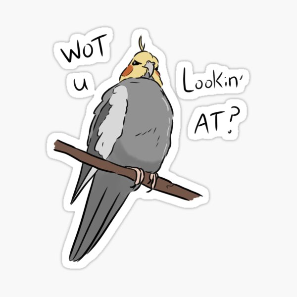 Gray Cockatiel Sticker – Lil Monsters Bird Toys