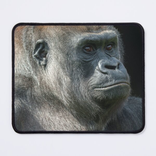 Item preview, Gorilla Ozala designed and sold by rawshutterbug.
