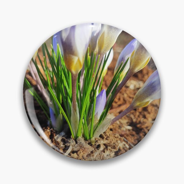 Item preview, The first signs of spring designed and sold by Raigitam.