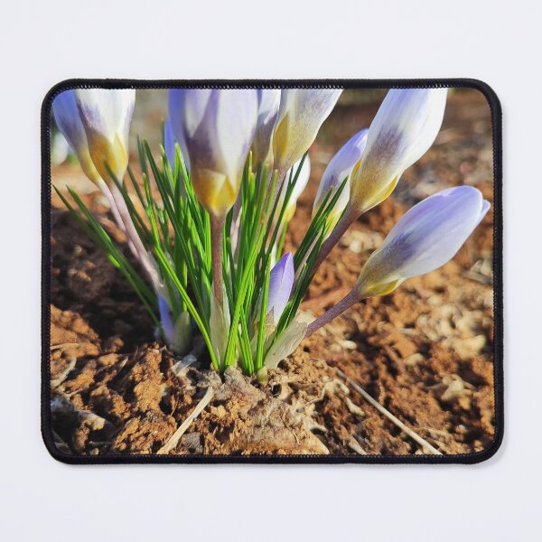 Item preview, The first signs of spring designed and sold by Raigitam.