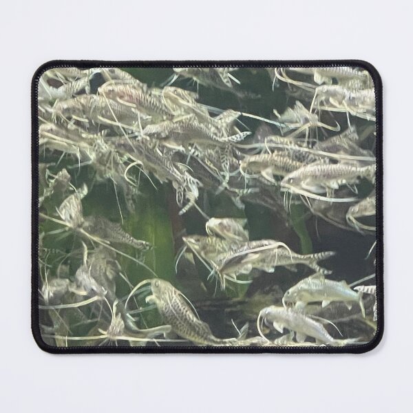Item preview, Shedd some light designed and sold by Loharts.