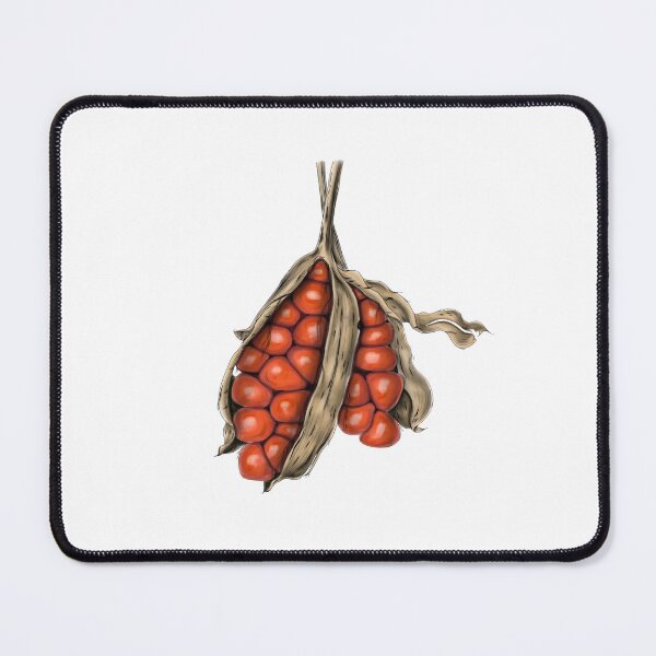 Item preview, Iris Seed Pods (Iris pseudacorus) designed and sold by TasiaZenzura.