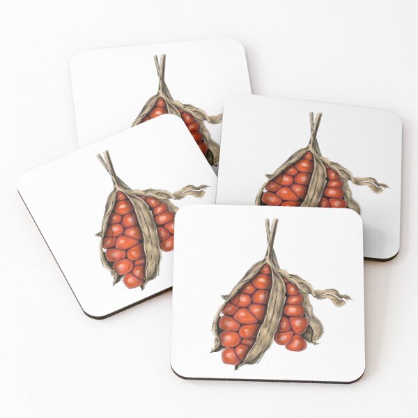 Item preview, Iris Seed Pods (Iris pseudacorus) designed and sold by TasiaZenzura.