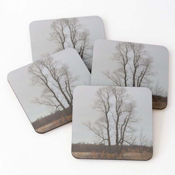 Item preview, The Beauty of Trees 1 designed and sold by fototaker Tony.