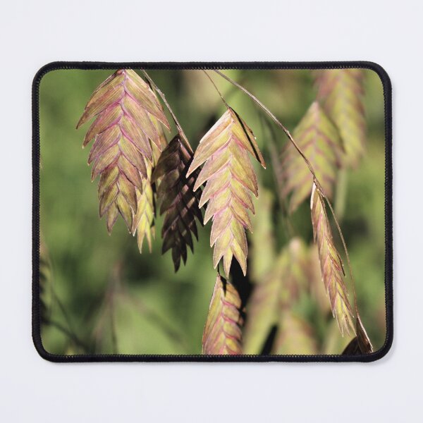 Item preview, Late Summer Leaves designed and sold by Martha Sherman.