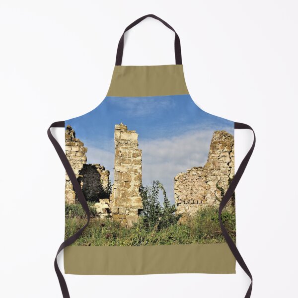 Item preview, Ruins of a Wisconsin Homestead designed and sold by Martha Sherman.
