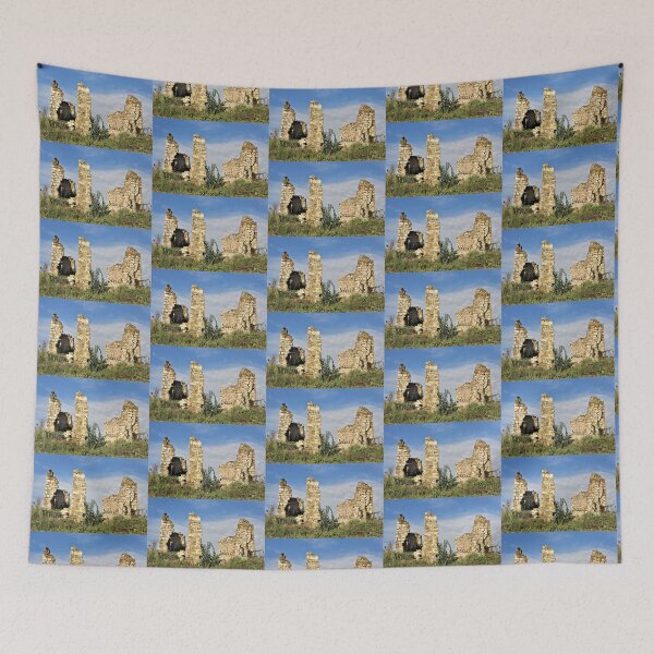 Item preview, Ruins of a Wisconsin Homestead designed and sold by Martha Sherman.