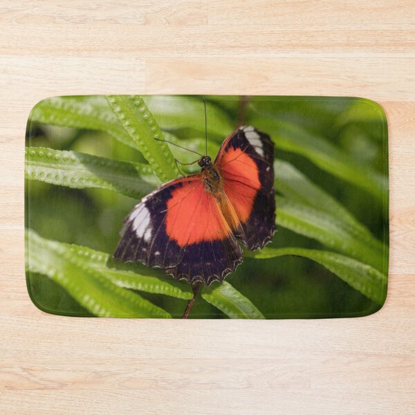 Item preview, Butterfly 13 designed and sold by Jacquiamber.