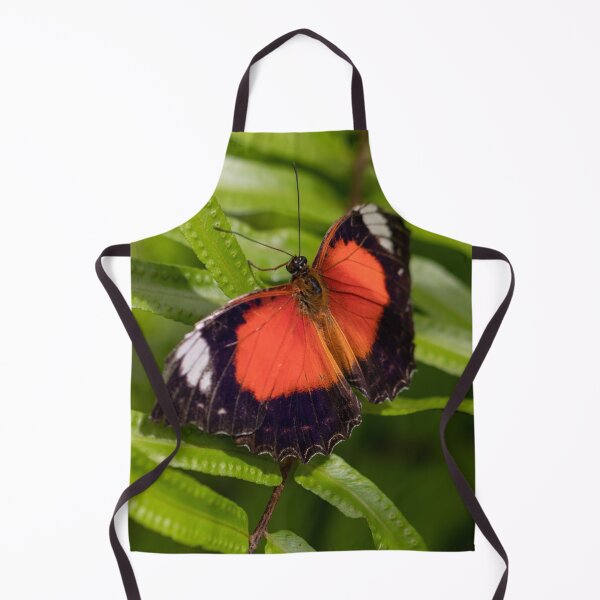 Item preview, Butterfly 13 designed and sold by Jacquiamber.