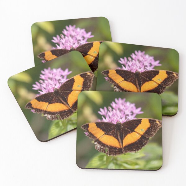 Item preview, Butterfly 15 designed and sold by Jacquiamber.