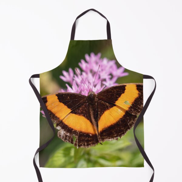 Item preview, Butterfly 15 designed and sold by Jacquiamber.