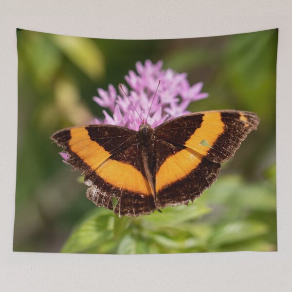 Item preview, Butterfly 15 designed and sold by Jacquiamber.