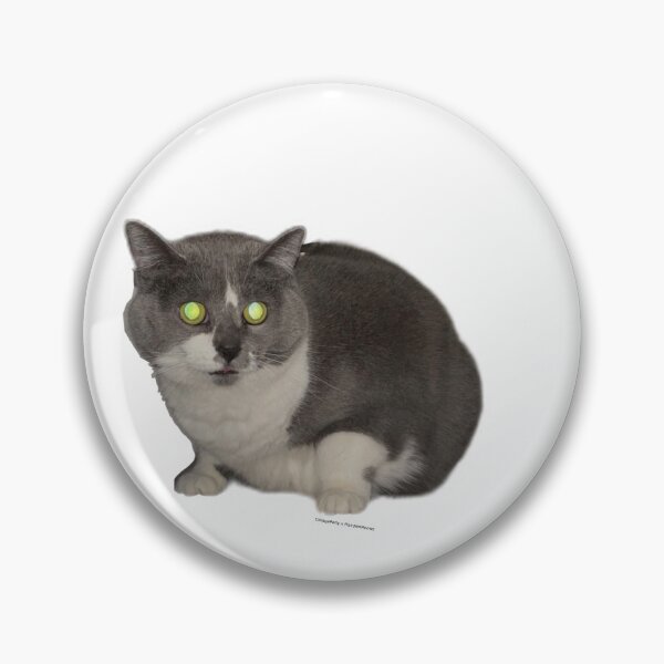Item preview, PlainJainMeows chonk designed and sold by CollageParty.