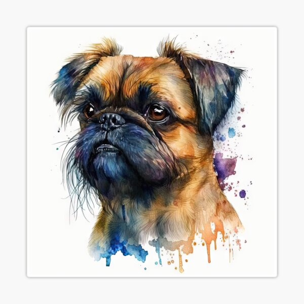 Verdell the Brussels Griffon