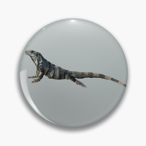 Item preview, Fantastic Iguana designed and sold by RainbowSpinkle.