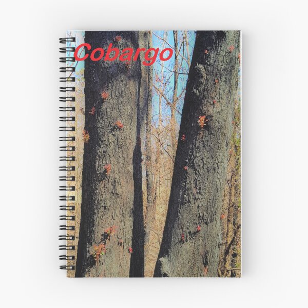 Item preview, Regeneration 2019-2020 fires, Bega Valley, NSW, Australia designed and sold by Cobargo South Coast.