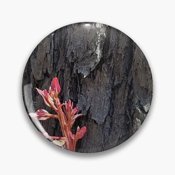 Item preview, 2019-2020 Bushfires - Life returns. Bega Valley, NSW, Australia designed and sold by Cobargo South Coast.