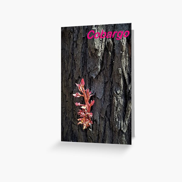 Item preview, 2019-2020 Bushfires - Life returns. Bega Valley, NSW, Australia designed and sold by CobargoInfo.