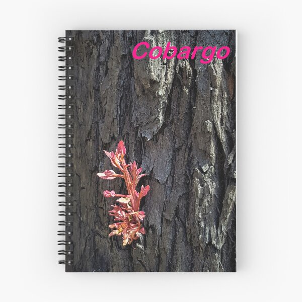 Item preview, 2019-2020 Bushfires - Life returns. Bega Valley, NSW, Australia designed and sold by Cobargo South Coast.