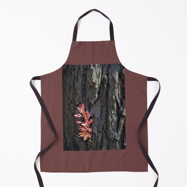 Item preview, 2019-2020 Bushfires - Life returns. Bega Valley, NSW, Australia designed and sold by Cobargo South Coast.