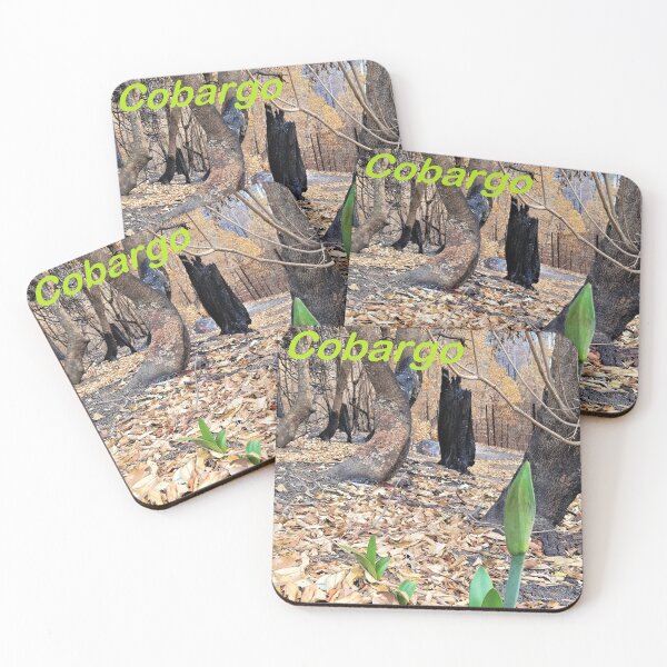 Item preview, Reeneration, 2020 fires, Bega Valley, NSW, Australia designed and sold by Cobargo South Coast.