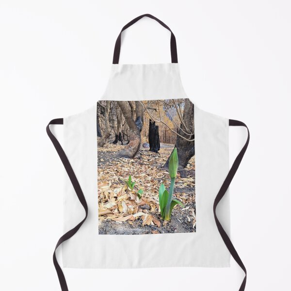 Item preview, Reeneration, 2020 fires, Bega Valley, NSW, Australia designed and sold by Cobargo South Coast.