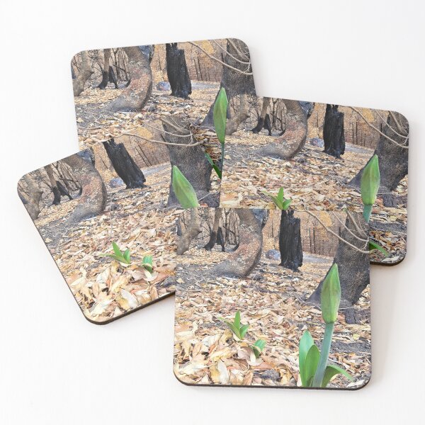 Item preview, Reeneration, 2020 fires, Bega Valley, NSW, Australia designed and sold by Cobargo South Coast.