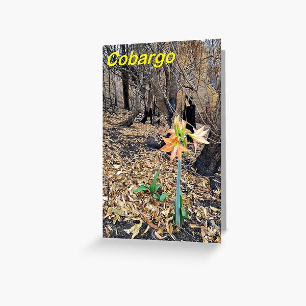 Item preview, 2019-2020 Bushfires - Life returns.  Bega Valley, NSW, Australia designed and sold by CobargoInfo.