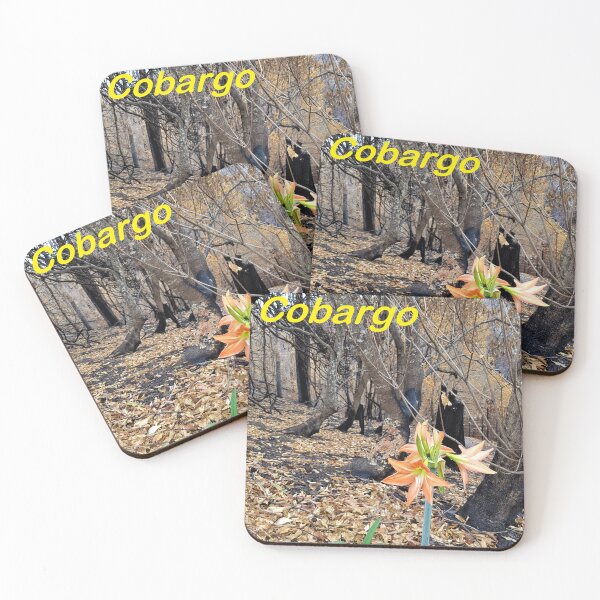 Item preview, 2019-2020 Bushfires - Life returns.  Bega Valley, NSW, Australia designed and sold by Cobargo South Coast.