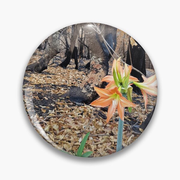 Item preview, 2019-2020 Bushfires - Life returns.  Bega Valley, NSW, Australia designed and sold by Cobargo South Coast.