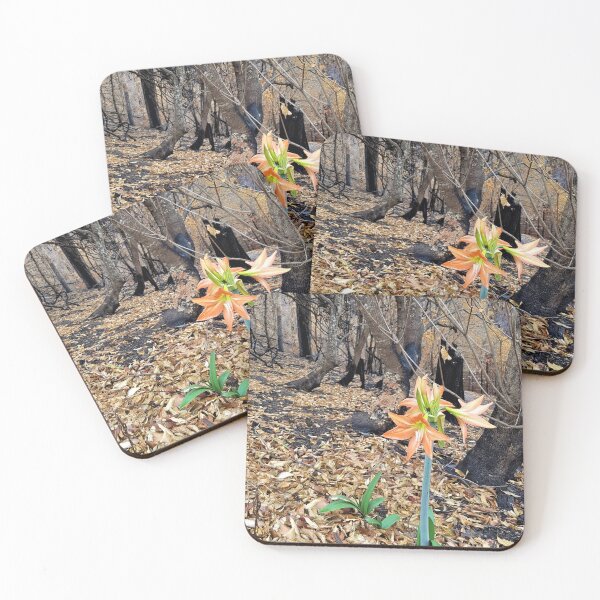 Item preview, 2019-2020 Bushfires - Life returns.  Bega Valley, NSW, Australia designed and sold by Cobargo South Coast.