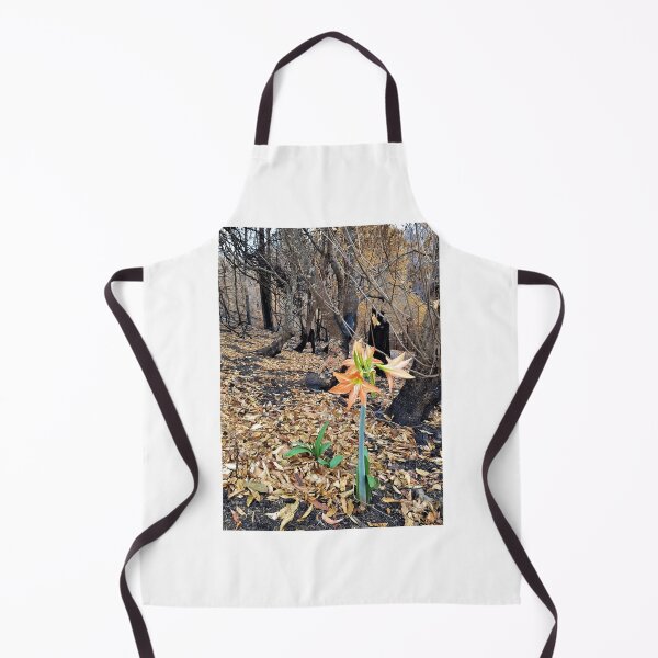 Item preview, 2019-2020 Bushfires - Life returns. Bega Valley, NSW, Australia designed and sold by Cobargo South Coast.
