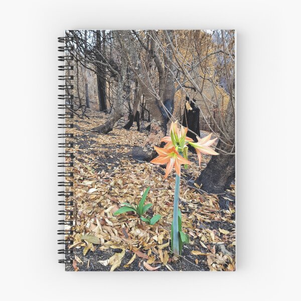 Item preview, 2019-2020 Bushfires - Life returns.  Bega Valley, NSW, Australia designed and sold by Cobargo South Coast.