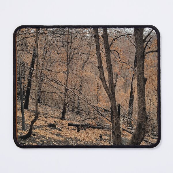 Item preview, 2019-2020 Bushfires, Bega Valley, NSW, Australia designed and sold by Cobargo South Coast.