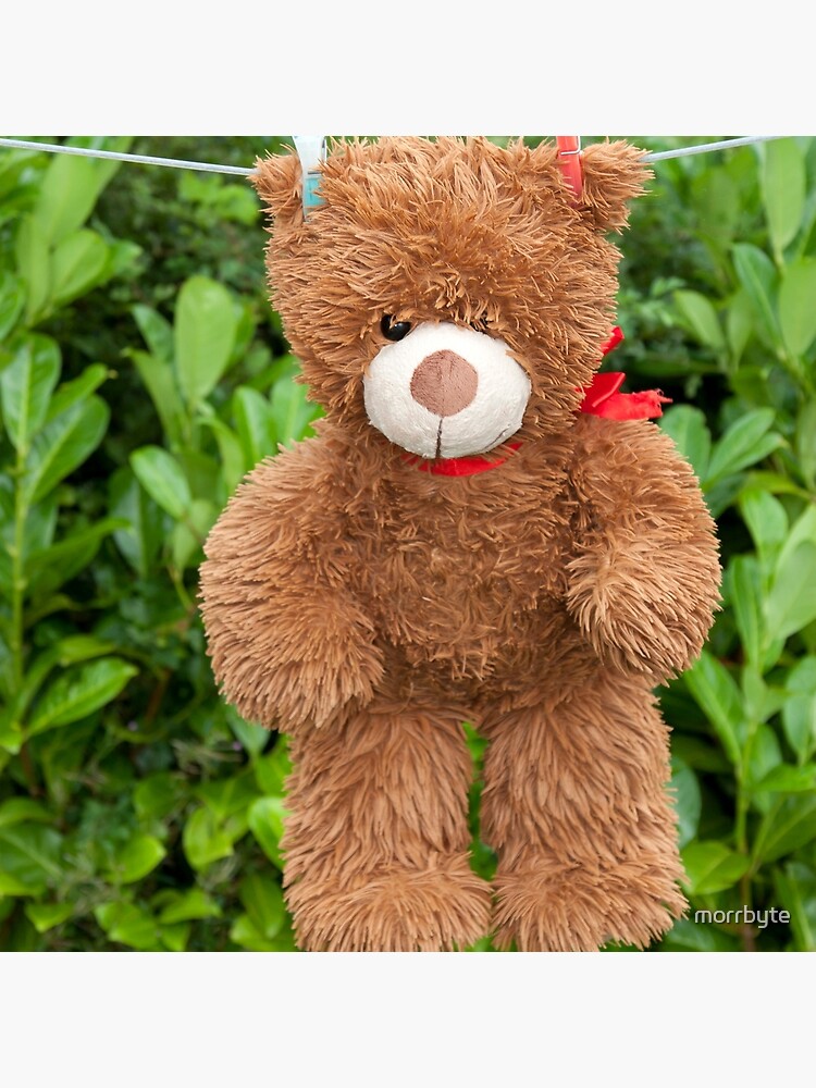 toy brown teddy bear hanging on line Tote Bag for Sale by