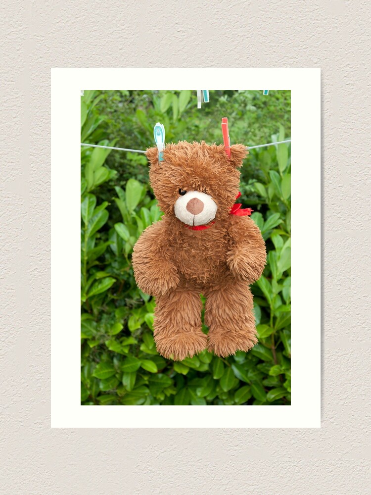 hanging teddy bear
