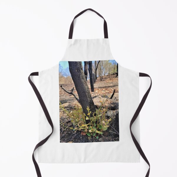 Item preview, Regeneration, 2020 bushfires, Bega Valley, NSW, Australia designed and sold by Cobargo South Coast.