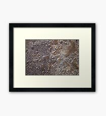 Water Droplet Glass Framed Print
