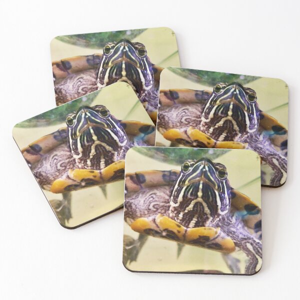 Item preview, Red Eared Slider designed and sold by trevorp.