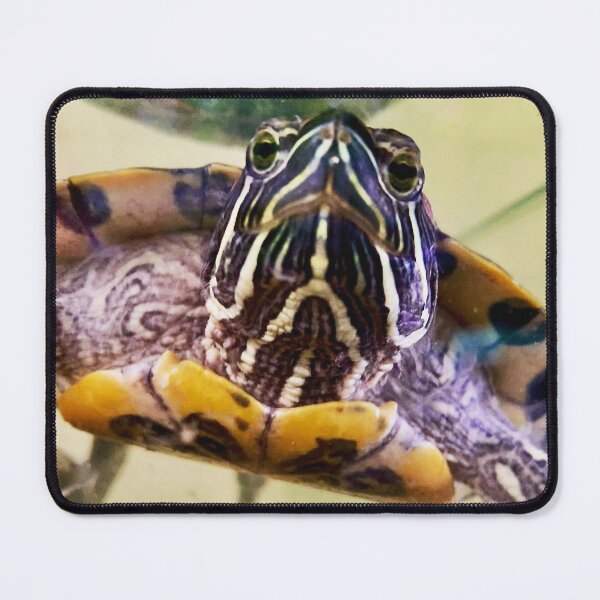 Item preview, Red Eared Slider designed and sold by trevorp.